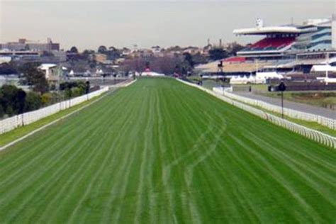 racenet race fields|Saturday Thoroughbred Racing fields and form .